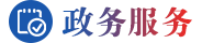 政务服务